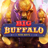 Big Buffalo logo