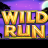 Wild Run logo