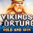 Vikings Fortune: Hold and Win logo