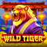 Wild Tiger logo