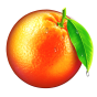 Orange bilde