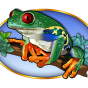 Frog bilde