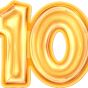 10 bilde