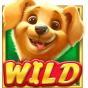 Wild bilde