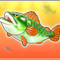 Fish bilde