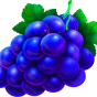 Grape bilde
