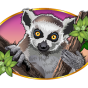 Lemur bilde