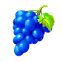 Grapes bilde