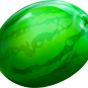 Watermelon bilde