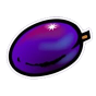 Plum bilde