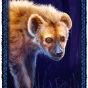 Hyena bilde
