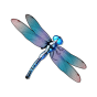 Dragonfly bilde