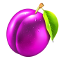 Plum bilde