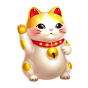 Cat bilde