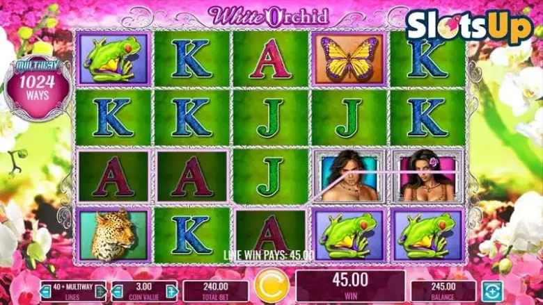 white-orchid-slot-online.jpg