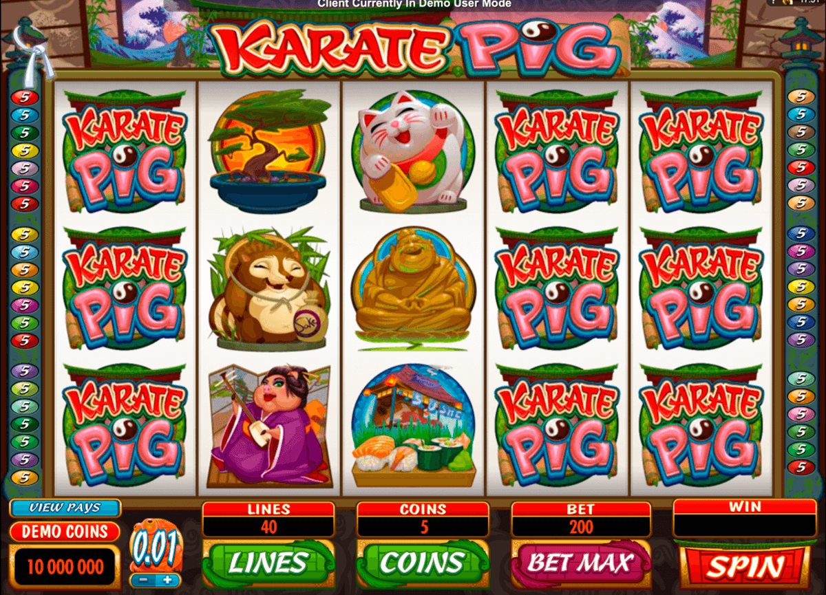 karate pig microgaming automat pa nett 
