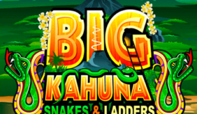logo big kahuna snakes and ladders microgaming spilleautomat 