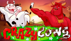 logo crazy cows playn go spilleautomat 