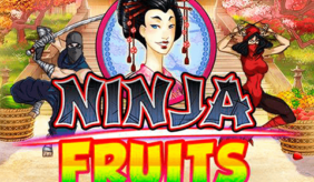 logo ninja fruits playn go spilleautomat 