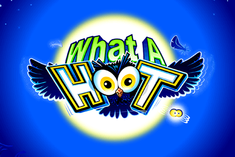 logo what a hoot microgaming spilleautomat 