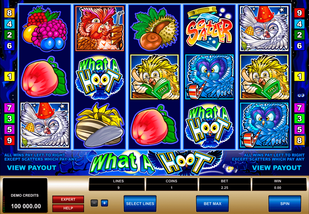 what a hoot microgaming automat pa nett