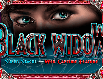 logo black widow igt spilleautomat 