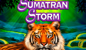 logo sumatran storm igt spilleautomat 