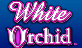 logo white orchid igt spilleautomat 